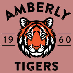 Youth Sponge Fleece Hoodie Design